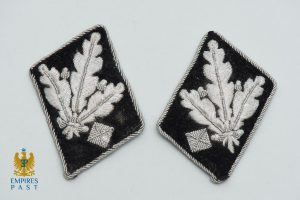 SS Gruppenfuhrer Collar Tabs